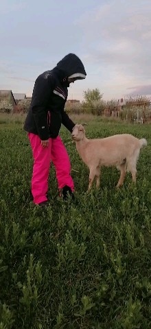 anna_kovaleva24 в LOOKY. . Мои девочки, у меня ...