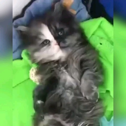SllashFllow в LOOKY. . Необычный милаш 🤍🖤