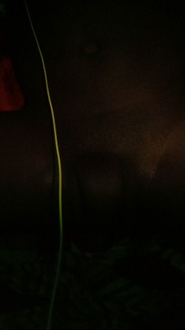 kingbrowntv в LOOKY. . 