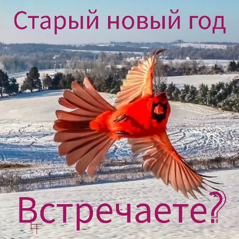 Likabell04 в LOOKY. . Ну ещё раз за Новый ...