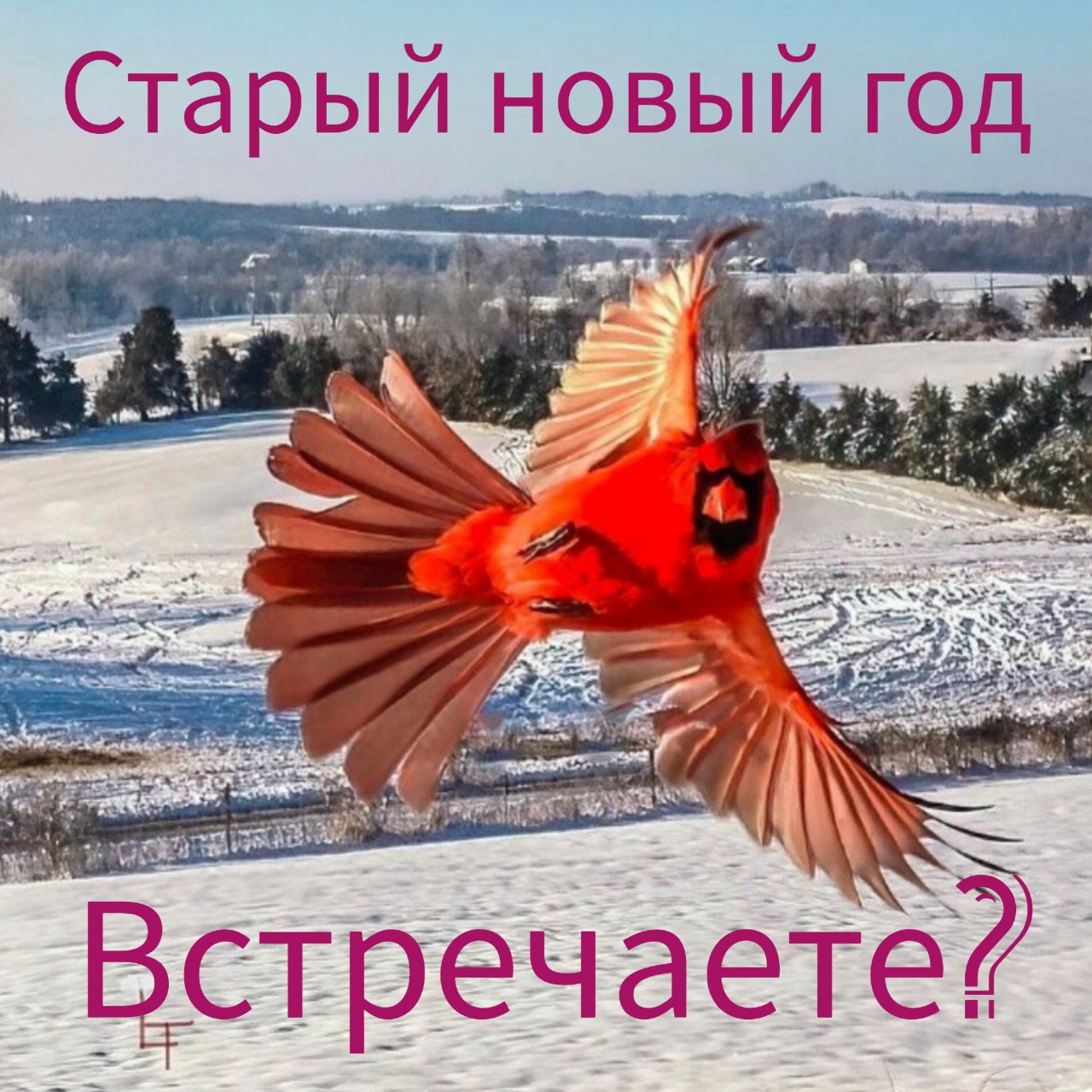 Likabell04 в LOOKY — Ну ещё раз за Новый год) ) ) .