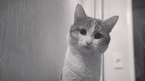 Алёна Никифорова в LOOKY. . Сегодня исполняется ...