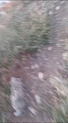 Looky_1716457288568 в LOOKY. #####. Ппц, ##### на видео ...