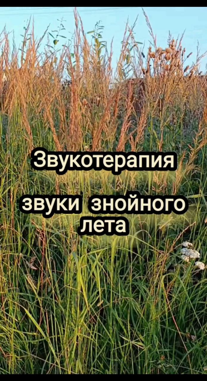 Светлана Сироткина в LOOKY. . 