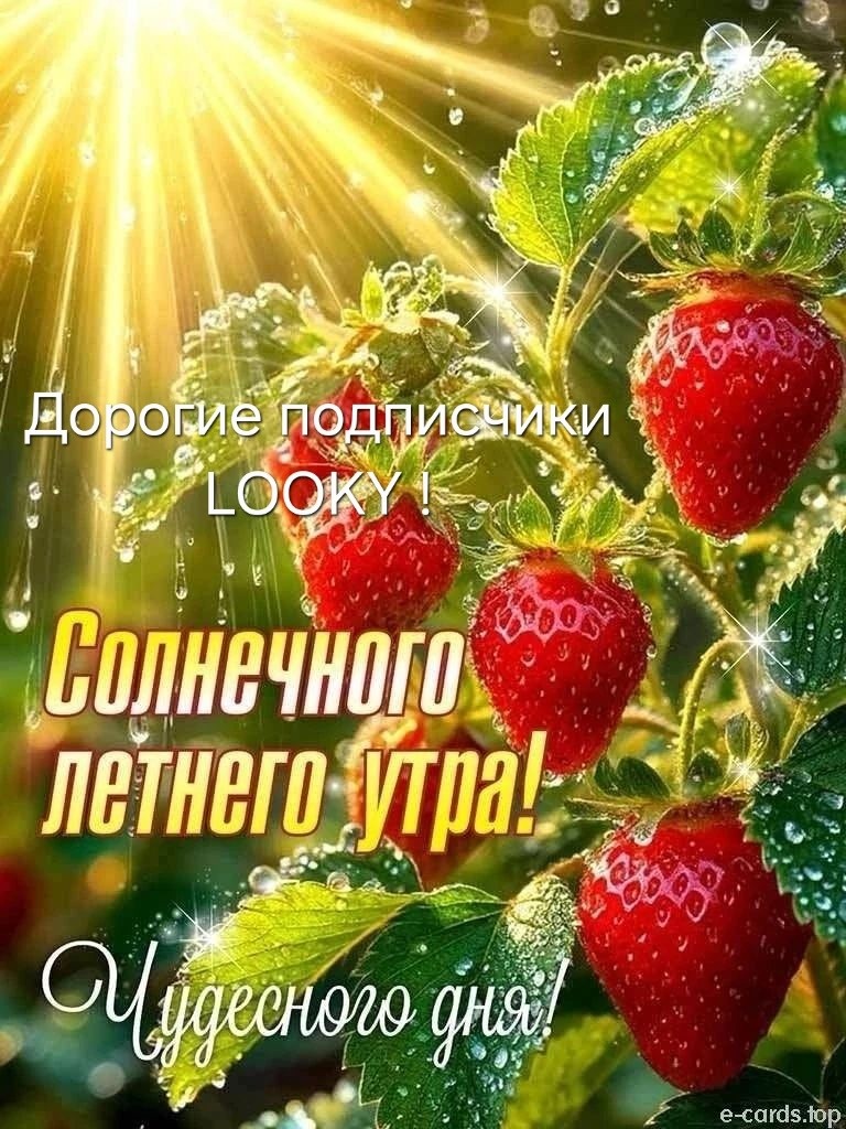 ДедМед в LOOKY — публикация
