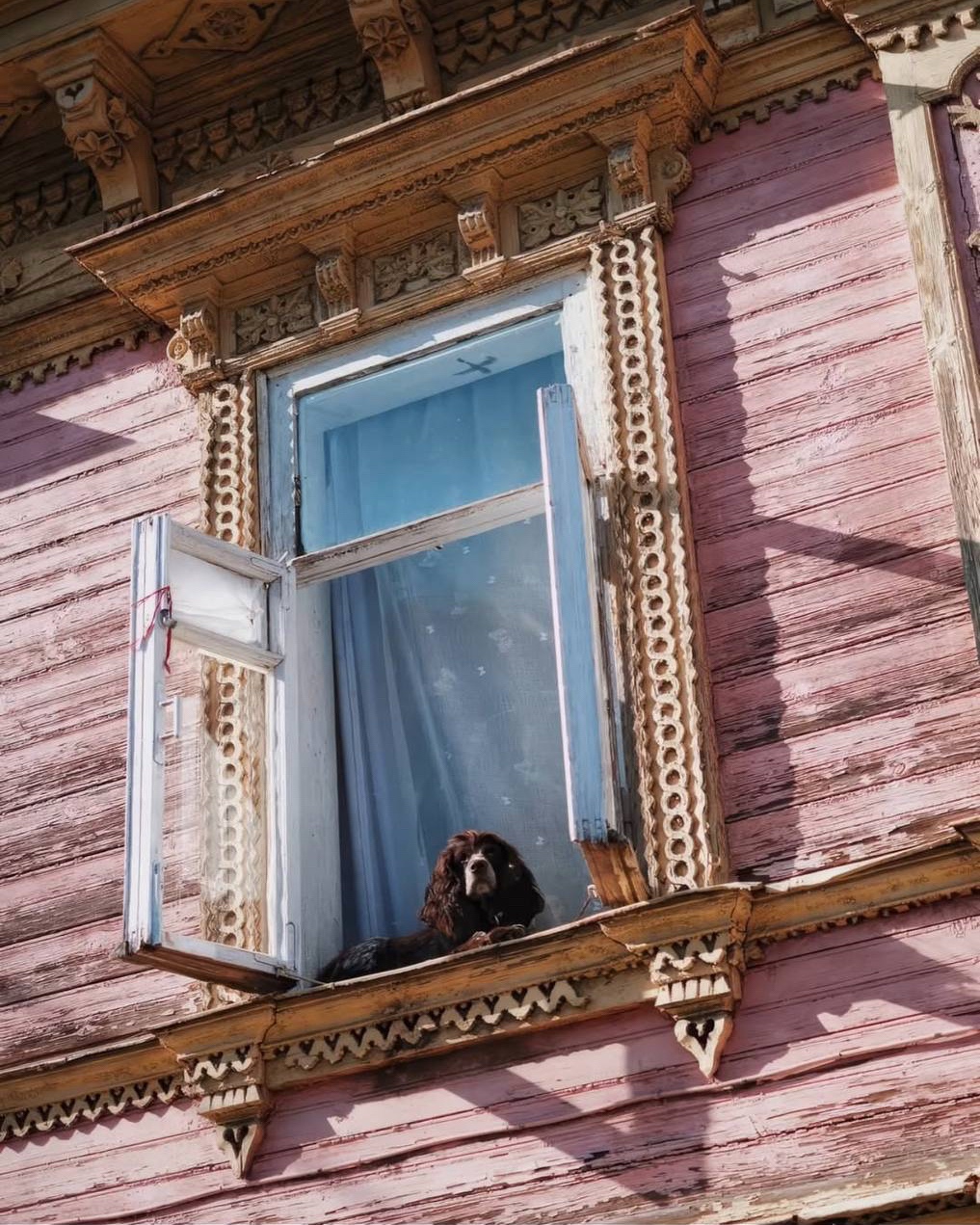 LOOKY_official в LOOKY. . «Нижний Новгород - э...