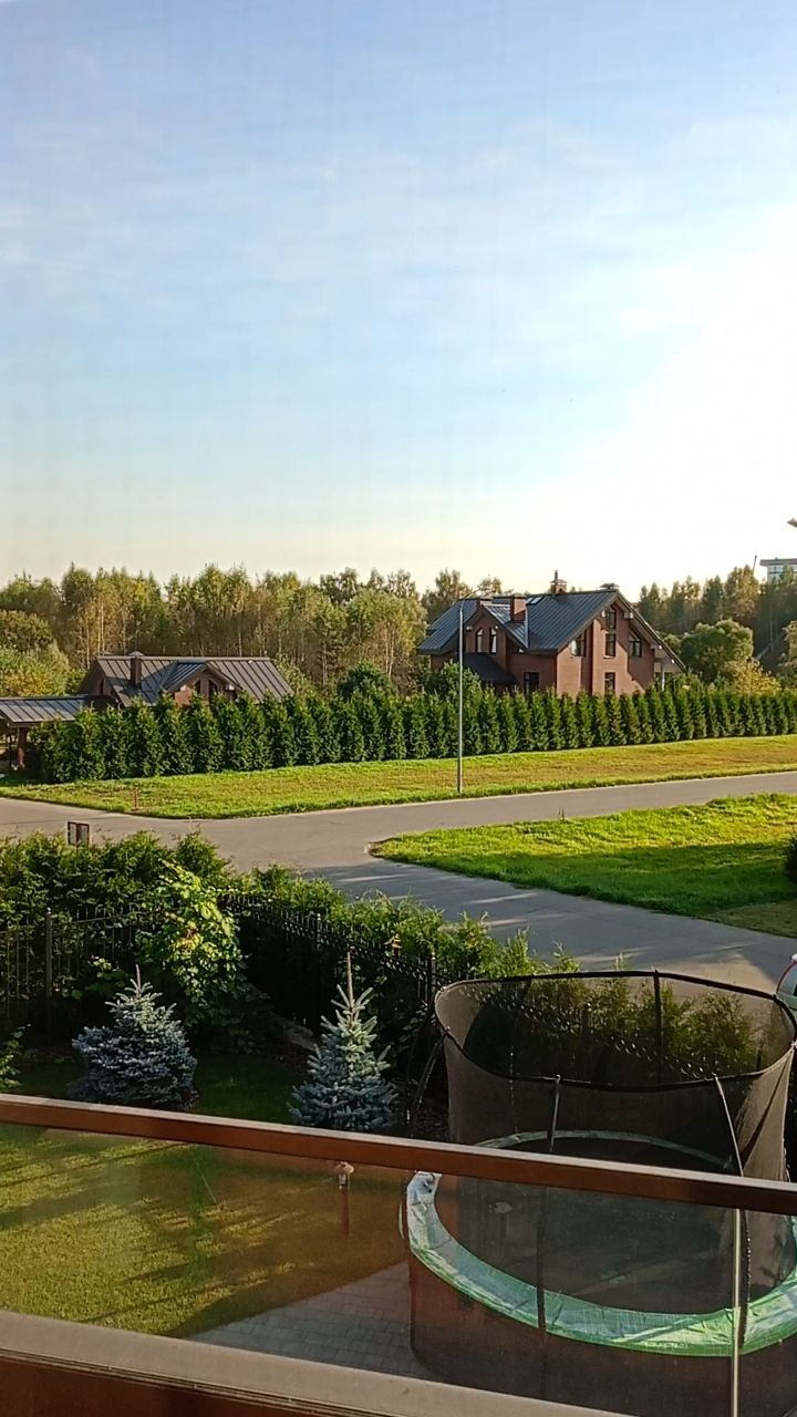 sveghiyvozduh в LOOKY. . Сетка есть? Как так,...