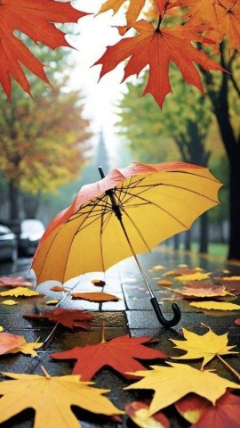 Петр в LOOKY. . Кто не успел отфотос...