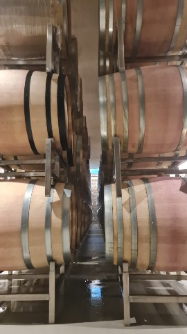 Dionysos в LOOKY. #wine. #wine