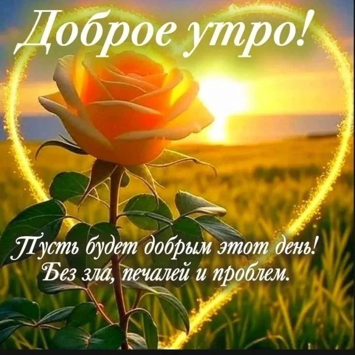 Сириус в LOOKY — публикация