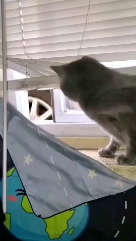 SllashFllow в LOOKY. . Гроза района 😾