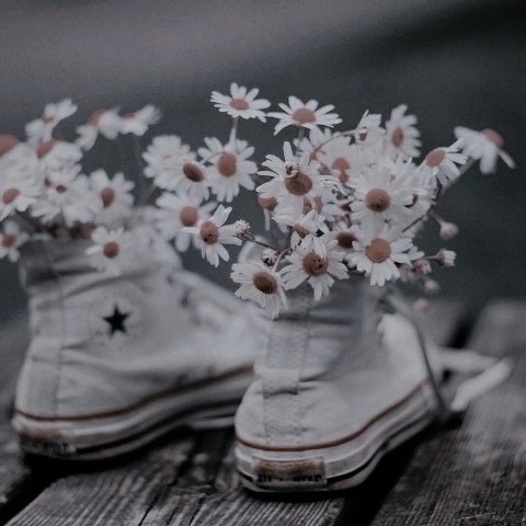Kotik.love в LOOKY. . Сохры
