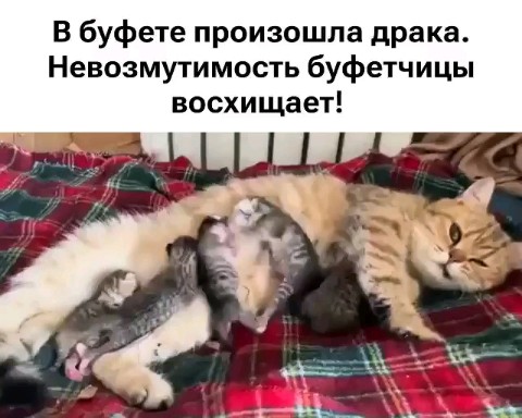  в LOOKY — Два брата акробата 🤣