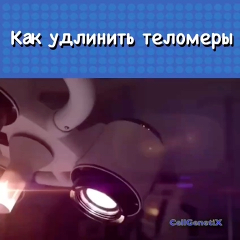 Валентина Ятло в LOOKY. #теломеры,#омоложение. #теломеры #омоложени...