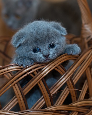 Likabell04 в LOOKY. . Сегодня мне пришло о...