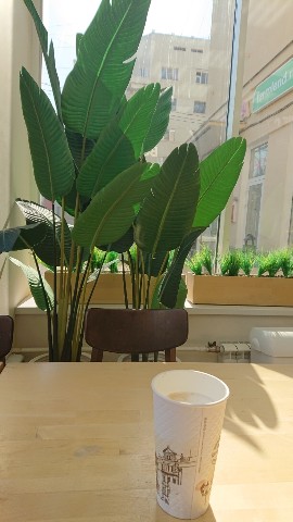 teslyatanya в LOOKY. . Сегодня с утра зашла...