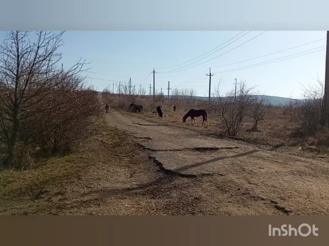 Валентина в LOOKY. #прогулка,#пешком,#лошади,#природа,#краснодарскийкрай. #прогулка #пешком #л...