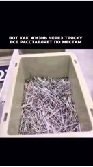 sergey_psyho в LOOKY. #психология,#психологкраснодар,#психологвгороде,#поисксебя,#психологкраснодар. Через тряску, всё ст...