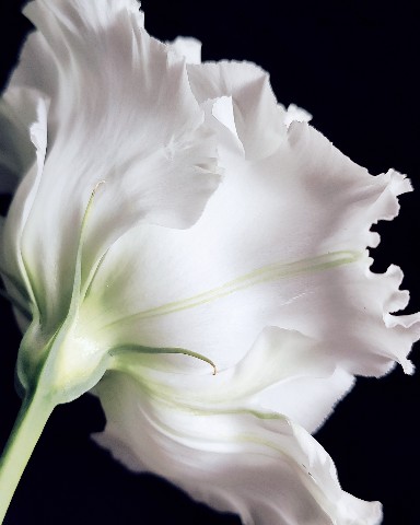 Olga в LOOKY. . [#macro](macro) [#ma...