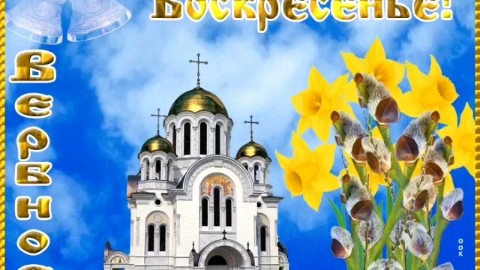 Looky_1671690955207 в LOOKY. #вербноевоскресенье,#апрель. С праздником!!!
#вер...