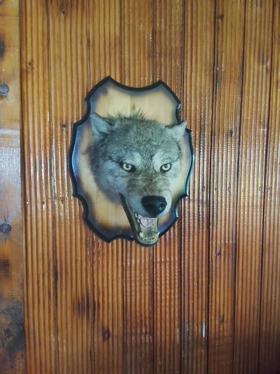 Аndrei в LOOKY — публикация