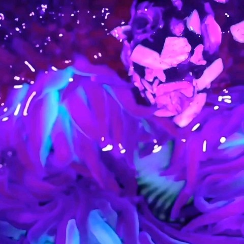 grand_loranewtime в LOOKY. . Вы помните, что ульт...