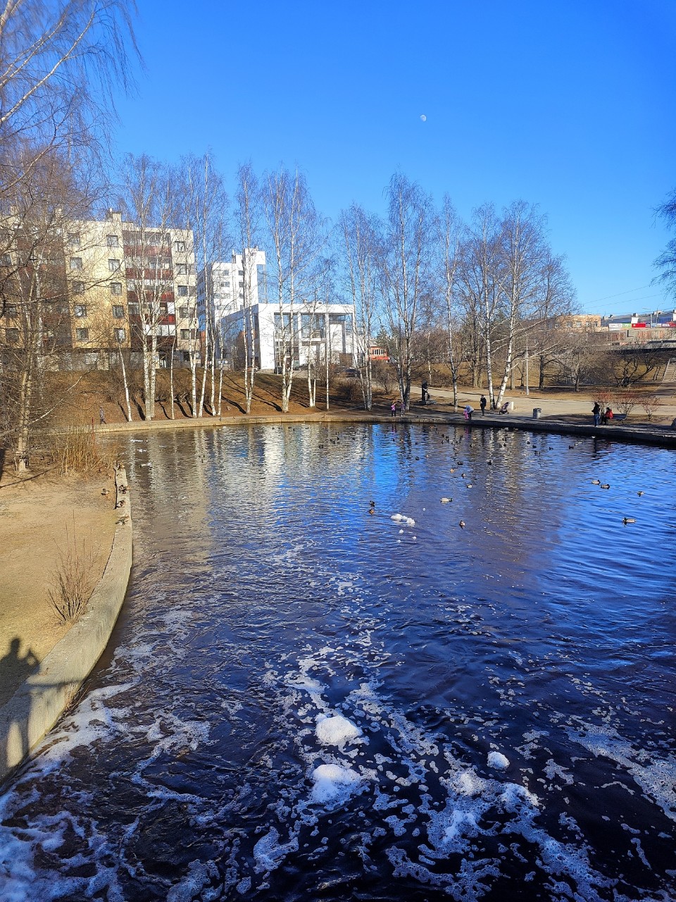 Виктор в LOOKY — фото 1