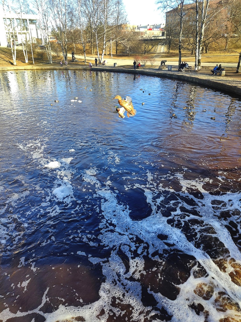 Виктор в LOOKY — фото 2