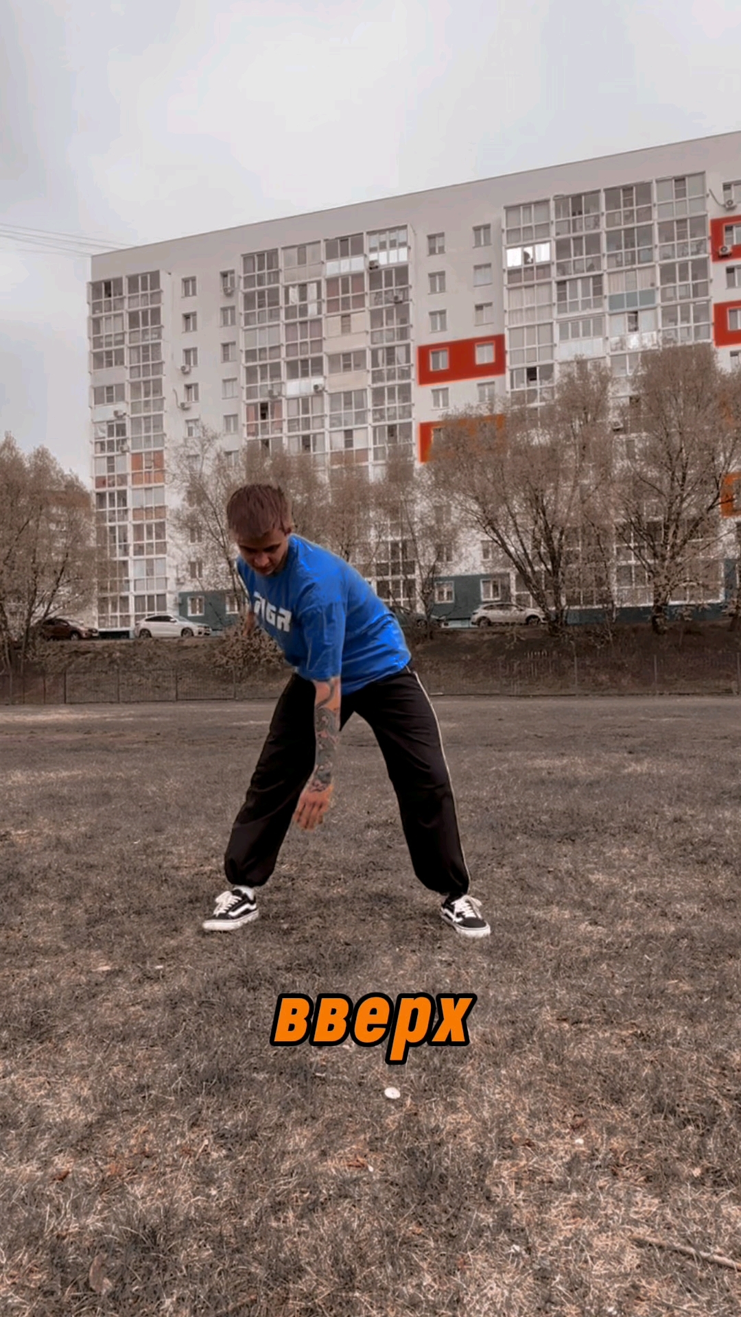 Павел Тигр в LOOKY. #pavelthetigr,#ПавелТигр,#pkfr,#parkour,#паркур,#сальто,#акробатика,#стрекосат,#обучениесальто,#трюк,#трикинг#фриран,#3run. ⚡️ТГК: pavelthetigr ...