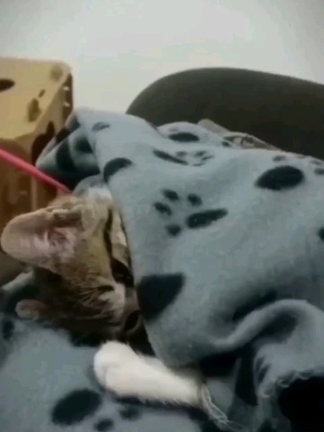 SllashFllow в LOOKY. . Ещё 5 минуточек 🛌