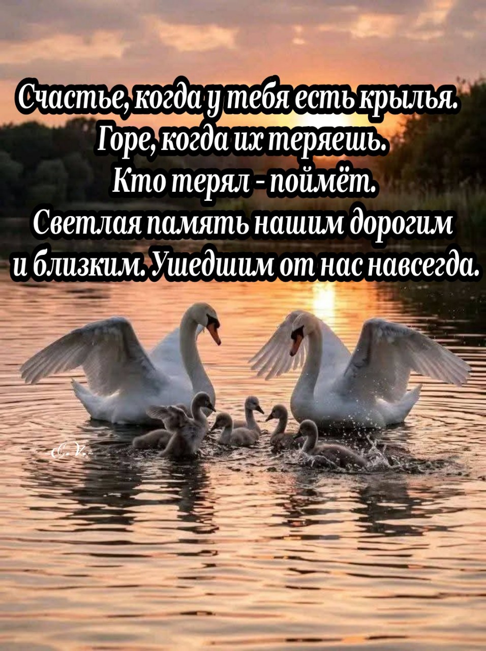  в LOOKY — публикация