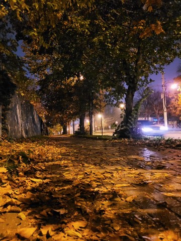 С Вами LENA KOTOVA в LOOKY. #beautiful,#art,#lenakotova,#атмосферно,#nature,#крд,#ДворЧудес. 🍂🍁🍂

#beautiful #...