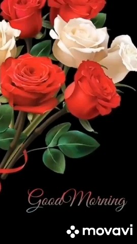 Looky_1710599590614 в LOOKY. . Я не пишу о войне, т...