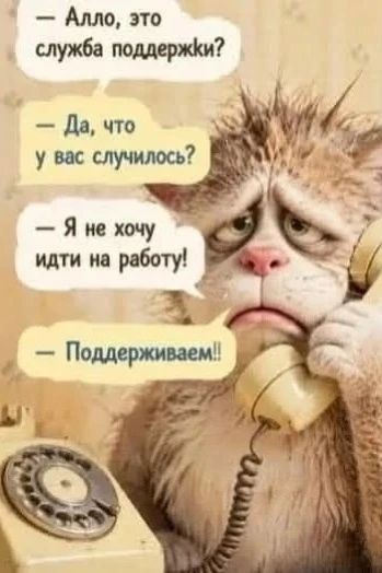 Tatiana Ubushaeva в LOOKY — публикация