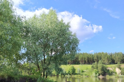Вика Наумова в LOOKY. . 🎣 [#рыбалка ](рыбал...