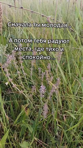 _karsakova_12_06_ в LOOKY. . 
