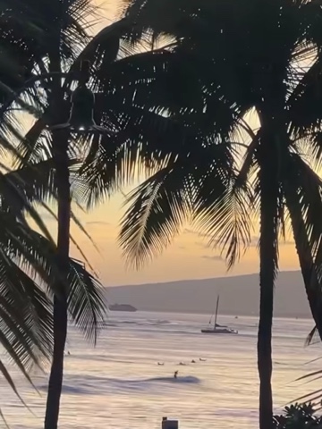 Ronni Hawk в LOOKY. . Paradise was calling...