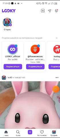 Looky_1699082909321 в LOOKY. #подписка. #подписка