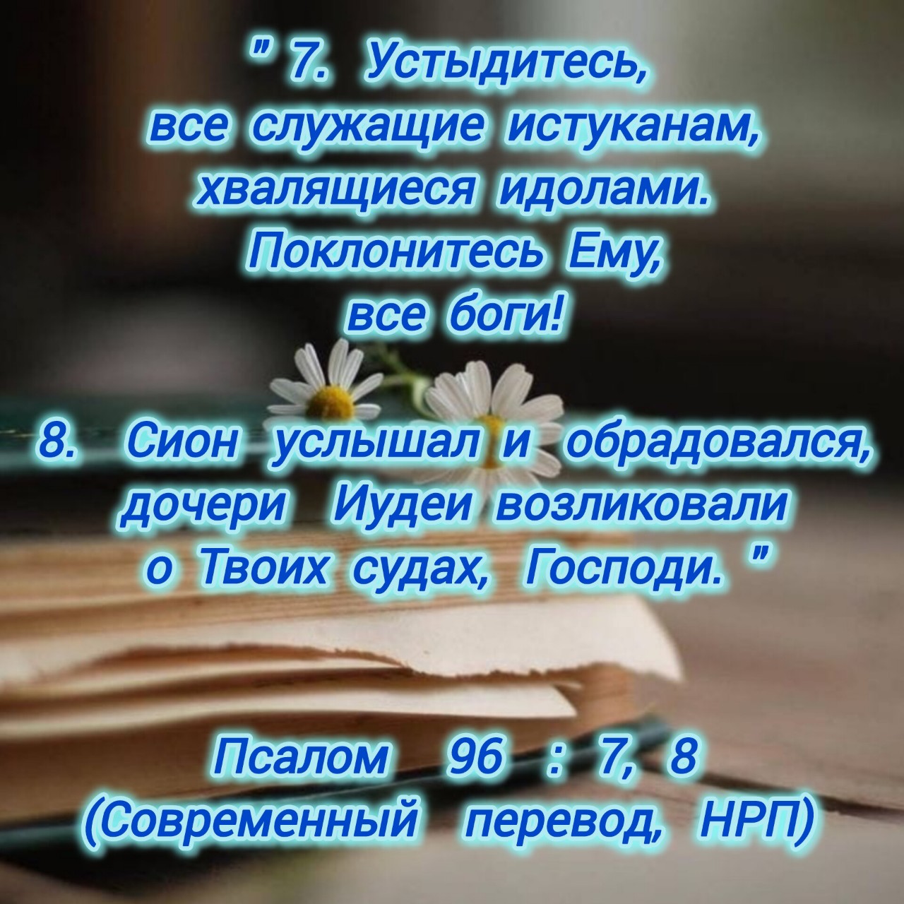 Алёна в LOOKY — фото 4
