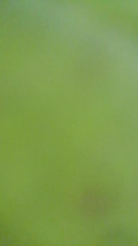 Looky_1720727386365 в LOOKY. . NL - это:
СВОБОДА
ПР...