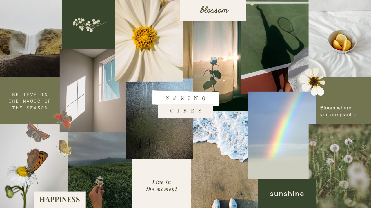 Lucia in LOOKY. . Project canva