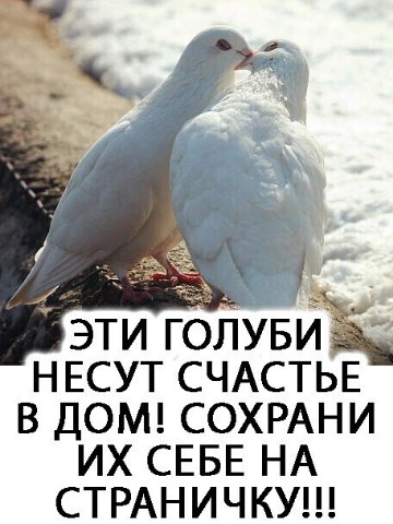 Looky_1717148154340 в LOOKY. . 