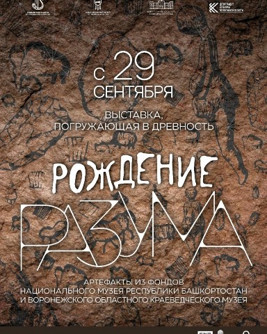 Элана Грекова в LOOKY. . 