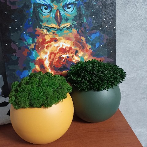 mossart_64 в LOOKY. #изделияизмха,#подаркисаратов,#ручнаяработа. #изделияизмха
#подар...