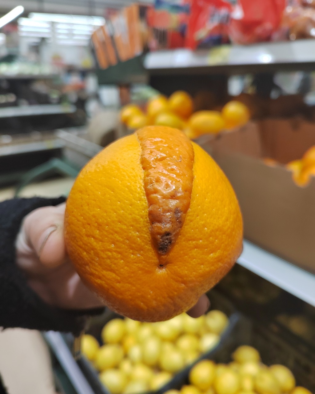 IMELOMANI в LOOKY — Панкопельсин