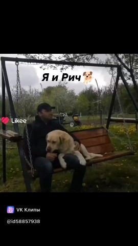 Looky_1694956369238 в LOOKY. . Я и Рич🐕