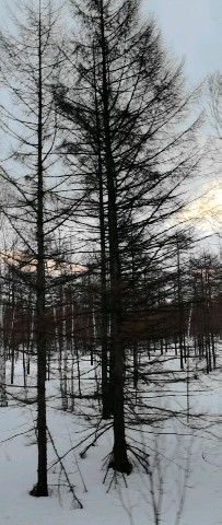 Looky_177128428336010 в LOOKY. . Волшебно 👌