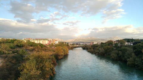 silakva в LOOKY. . 