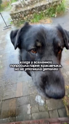 Ты не одинок у тебя есть я в LOOKY. . Бывает так, что ты п...