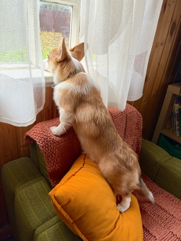 Lazy_rules в LOOKY. . Осень на даче — особ...